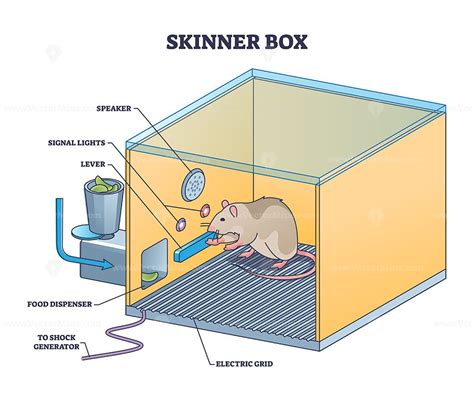 skinner box electric shock|skinner box functions.